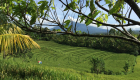 Bali Ausflugtipps