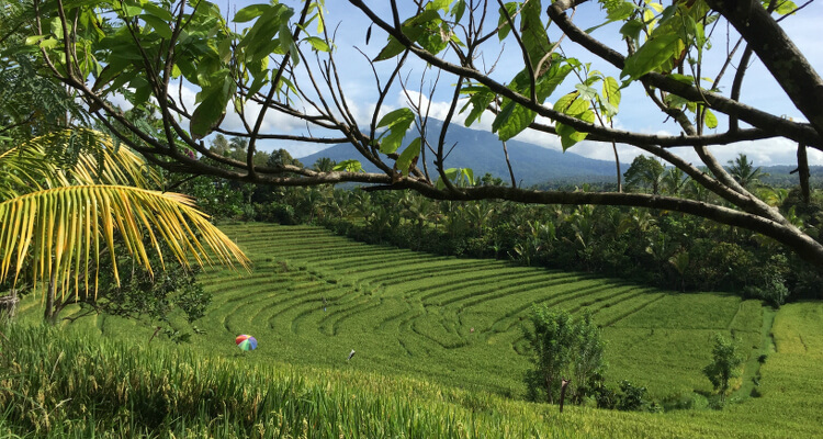 Bali Ausflugtipps