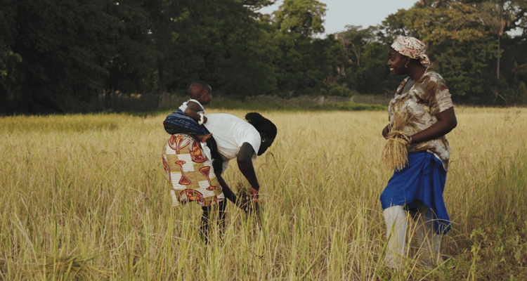 Beyond Surf Dokumentation-12