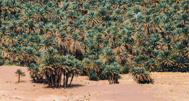 Beyond Surf Dokumentation-17