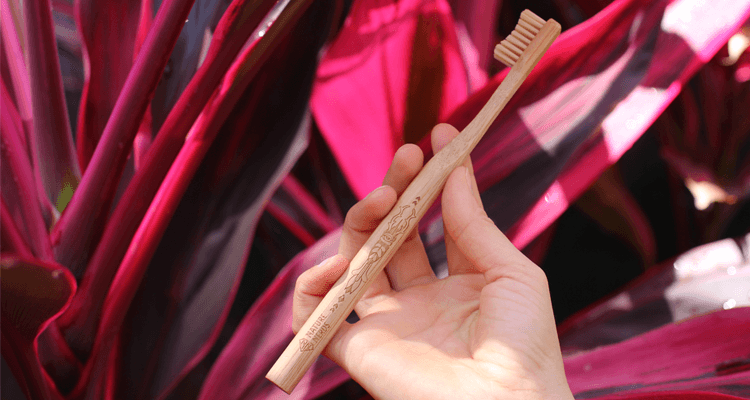 nachhaltiger-surfurlaub-bambus-zahnbuerste-02
