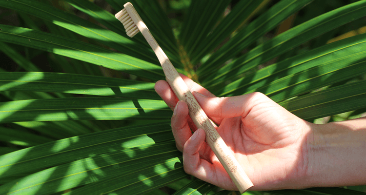 nachhaltiger-surfurlaub-bambus-zahnbuerste-03