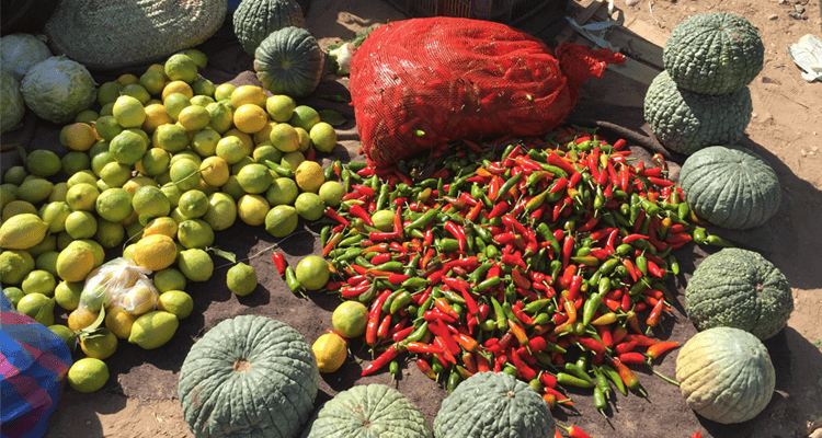 surfurlaub-in-marokko-souk-02