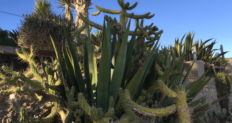 surfurlaub-in-marokko-surfen-02