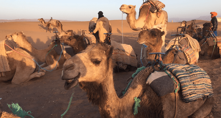 surfurlaub-in-marokko-wueste-01