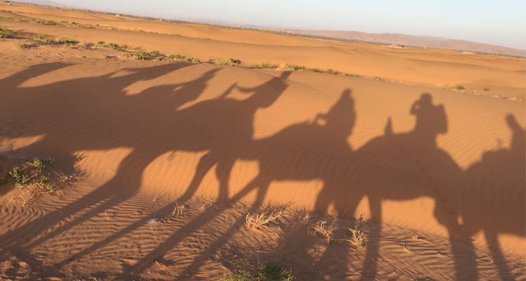 surfurlaub-in-marokko-wueste-03