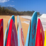 Boardkunde 1 (Surfbrettformen / Boardshapes)