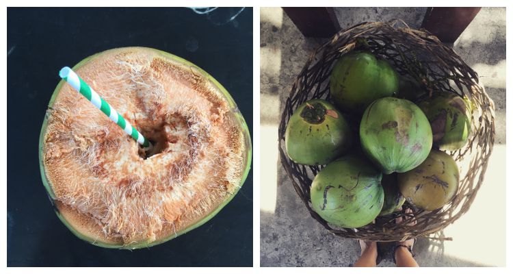 Vegane Restaurants in Canggu- Bali - Kokosnuss