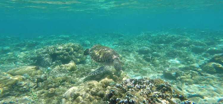 5 Gründe warum du auf den Philippinen surfen solltest.