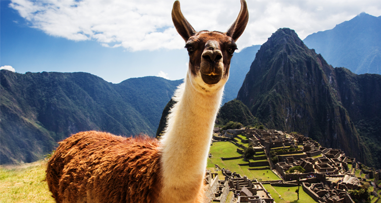 surfen-in-peru-machu-picchu