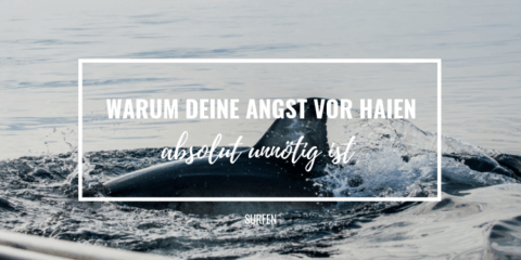 angst-vor-haien-cover-neu