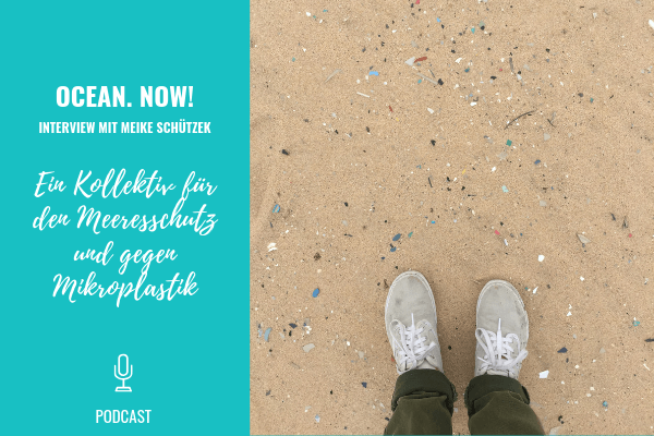 ocean-now-meeresschutz-podcast-cover