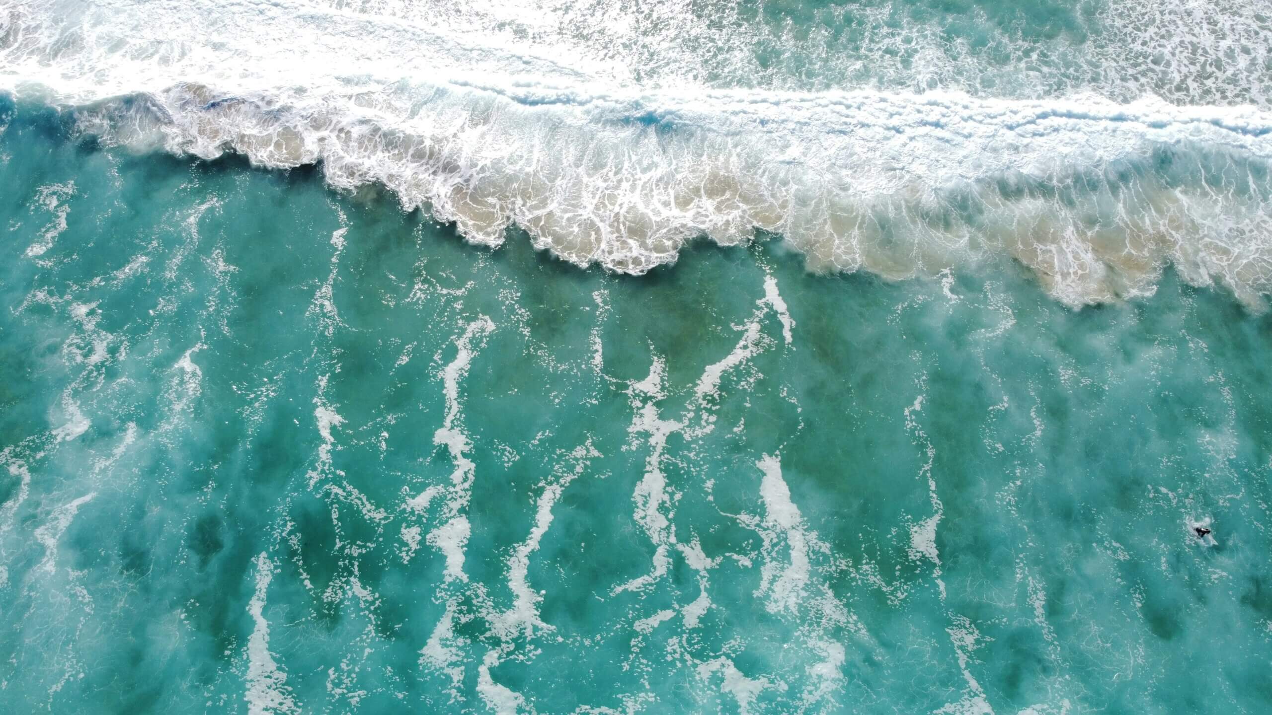 surf-forecast-lesen-cover-neu
